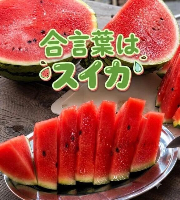 今年初🍉🌻