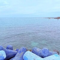 水野さつき