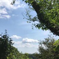 安藤あい