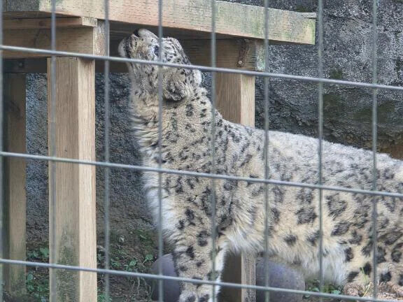 ごめえええええええええええ！！！！！！
