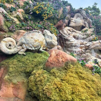 綾部きこ