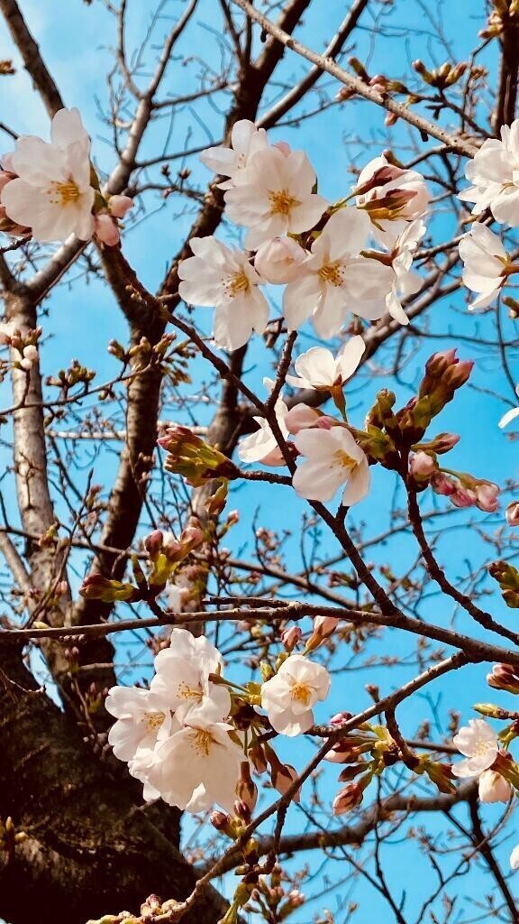 出勤しましたー！