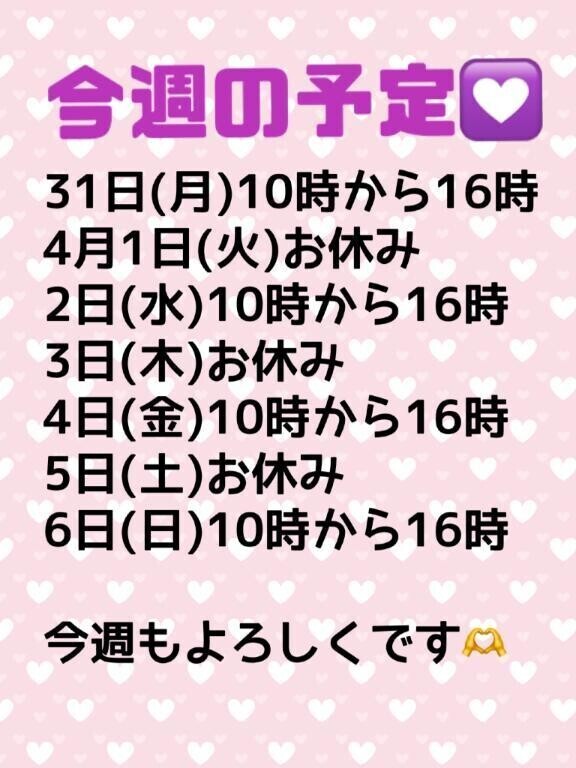 今週の予定です🫶