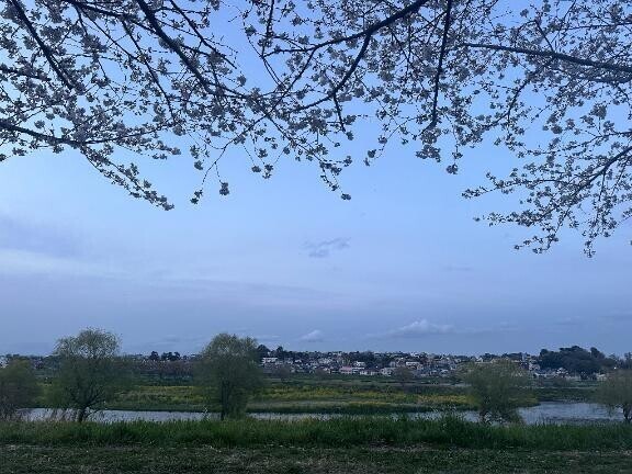 お久しぶりです！峯岸です🌸