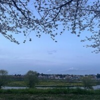 峯岸なつ