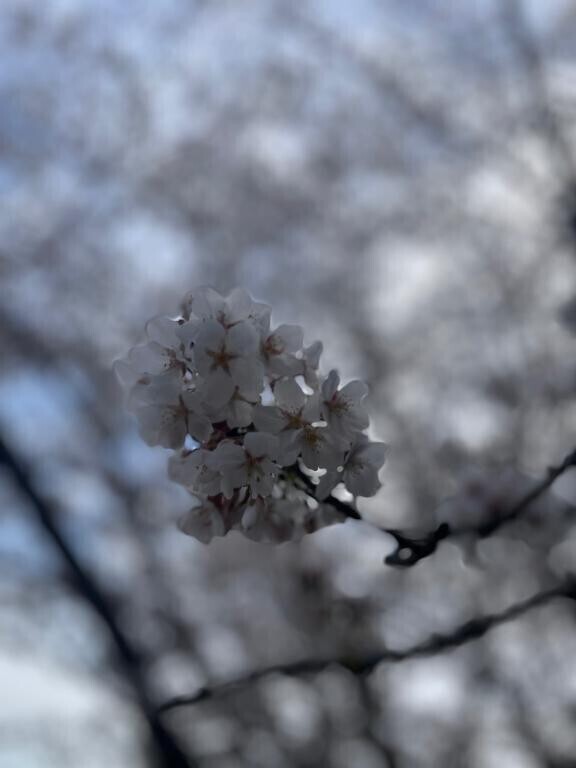 まいにちを