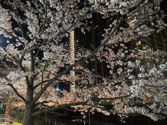 週末♪