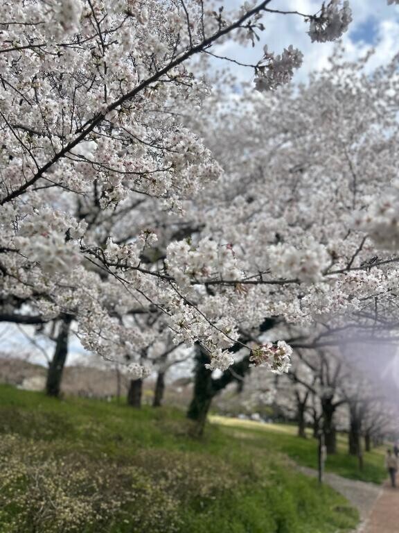 夏は確実に近づいている