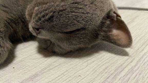 明日から出勤します！
