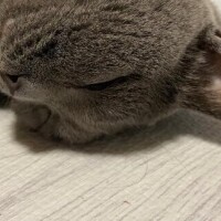 広瀬かれん