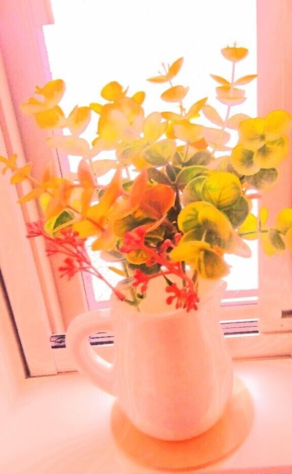 おはようございます🍀