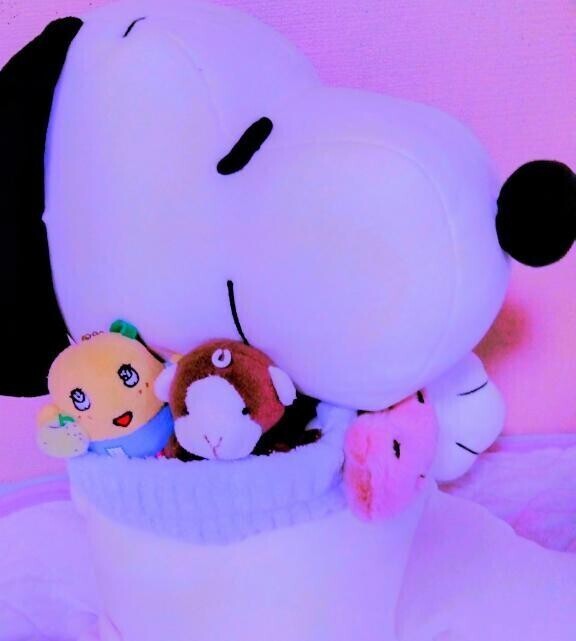 おはようございます🍀