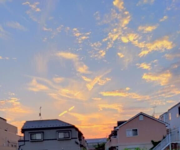 おはようございます🍀