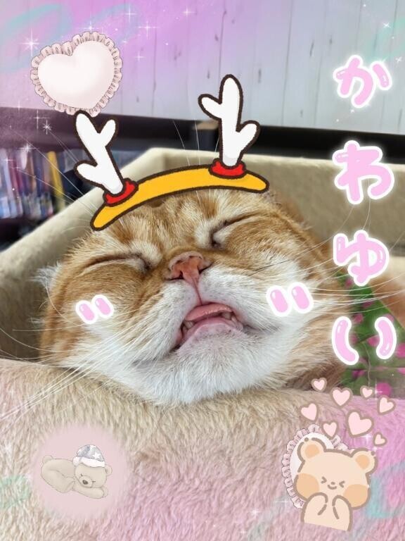 眠れないから、、、、🥰🤭✨💞