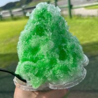 椿なぎ
