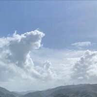 徳井すず