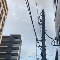 広瀬かれん