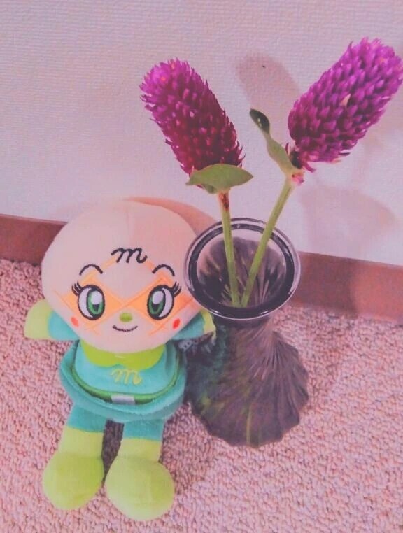 おはようございます🍀