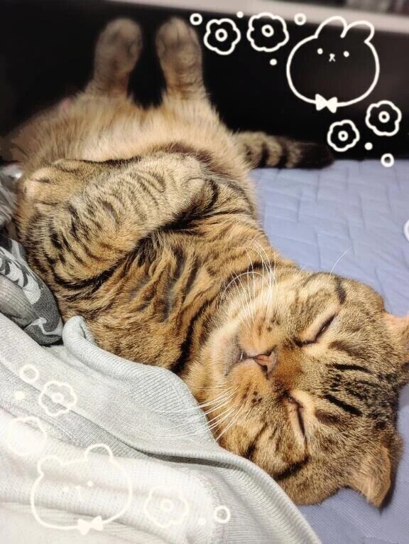 最近(。-`ω´-)ﾝｰ