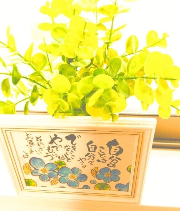 おはようございます🍀