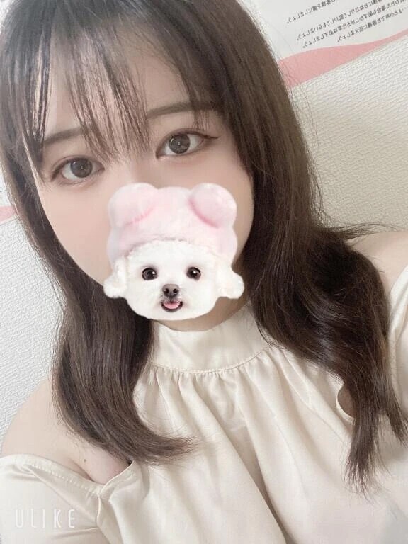 今日も元気にお店にいます🐰