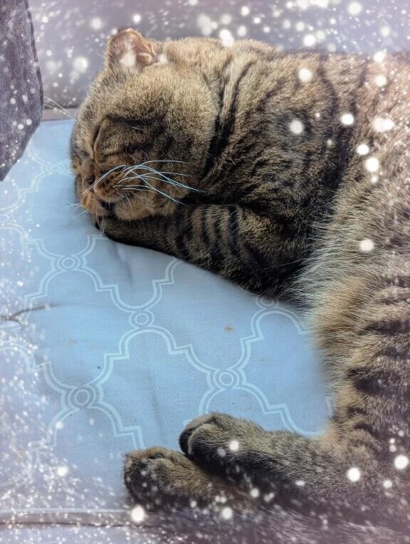 肌寒い:( ´◦ω◦｀):