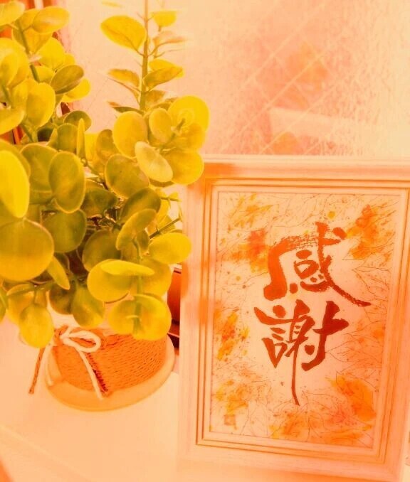 おはようございます🍀