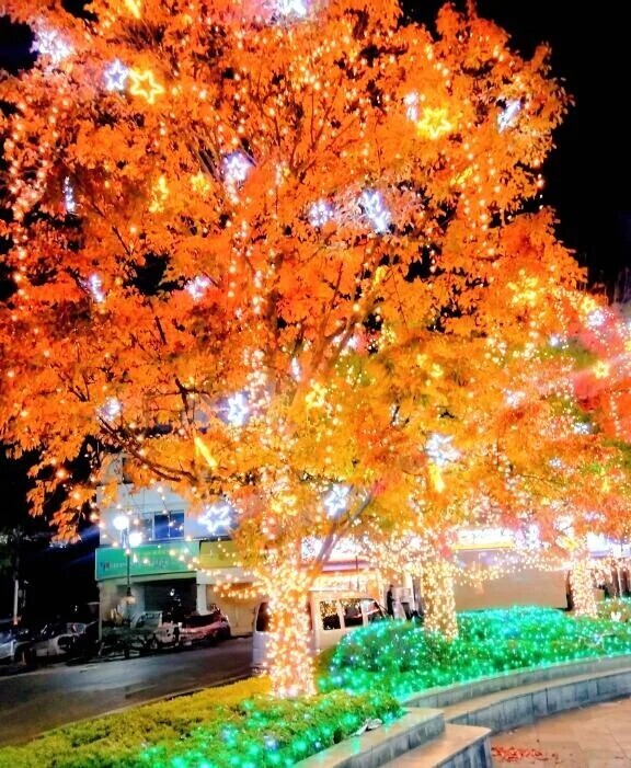 おはようございます🍀