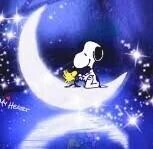 おはようございます🍀