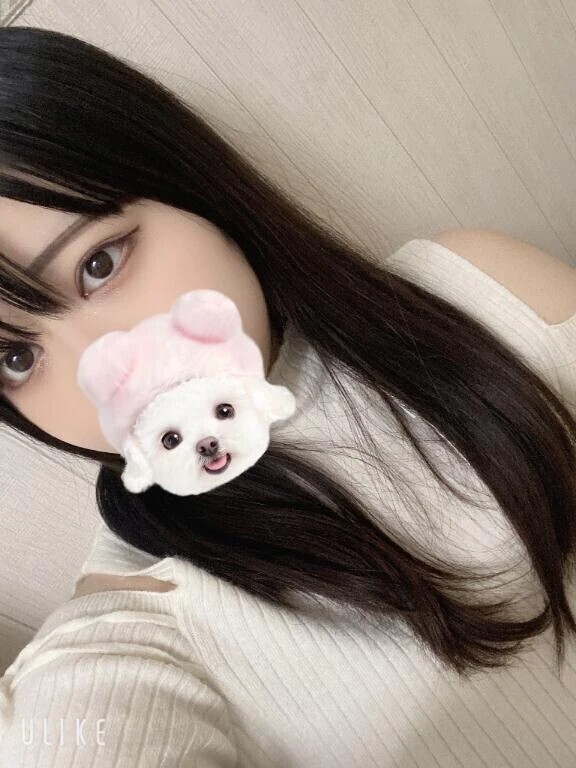 おみせとうちゃくっ❕