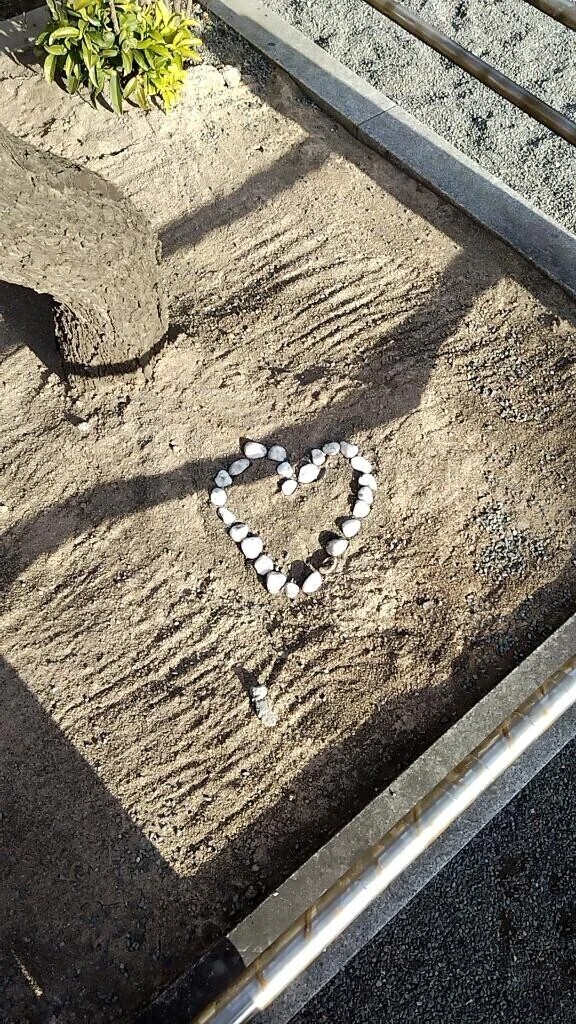 おはようございます😊