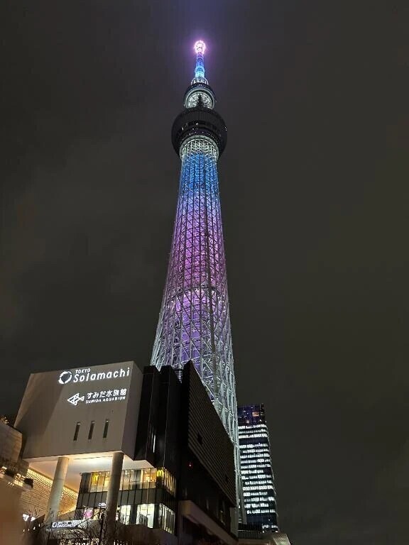 朝の顔と 夜の顔