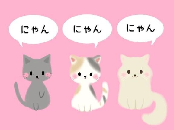 にゃーーん🐈‍⬛🐾