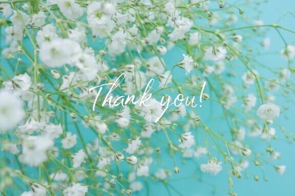 お礼日記:N様へ