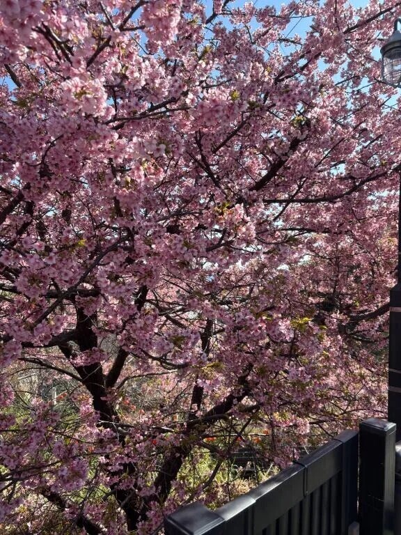 三連休おしまい♬