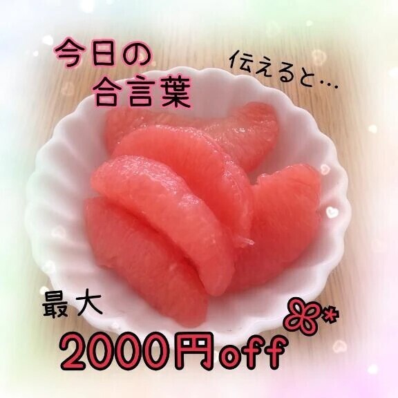 今日の合言葉🕊️