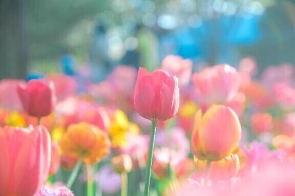 いやあああん♡