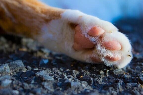 ありがとうございました！