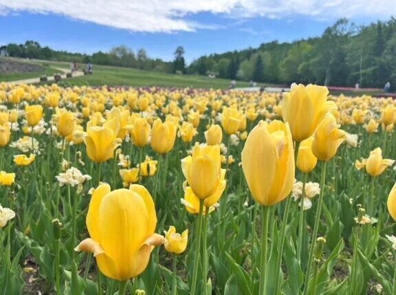 おはようございます♡