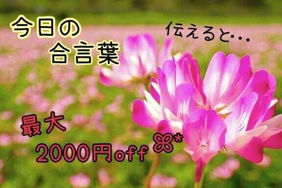 今日の合言葉🕊️