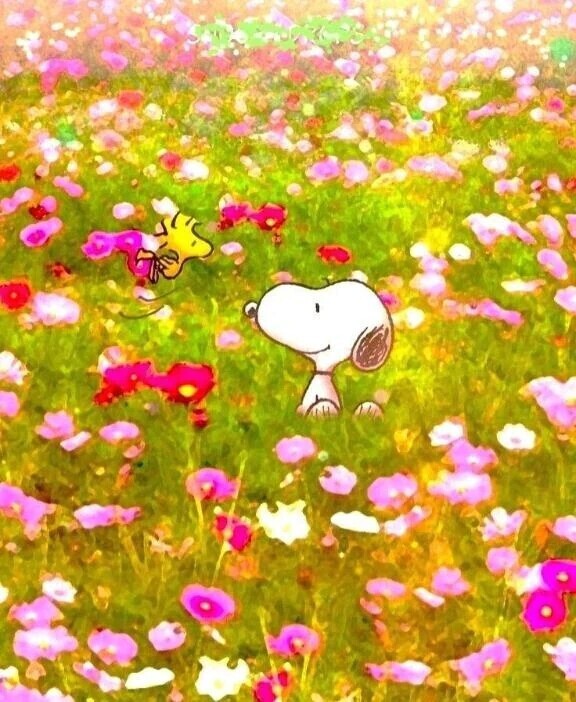 おはようございます🍀