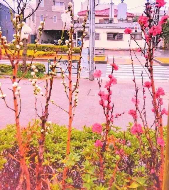 おはようございます🍀