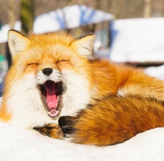 受付終了しました！