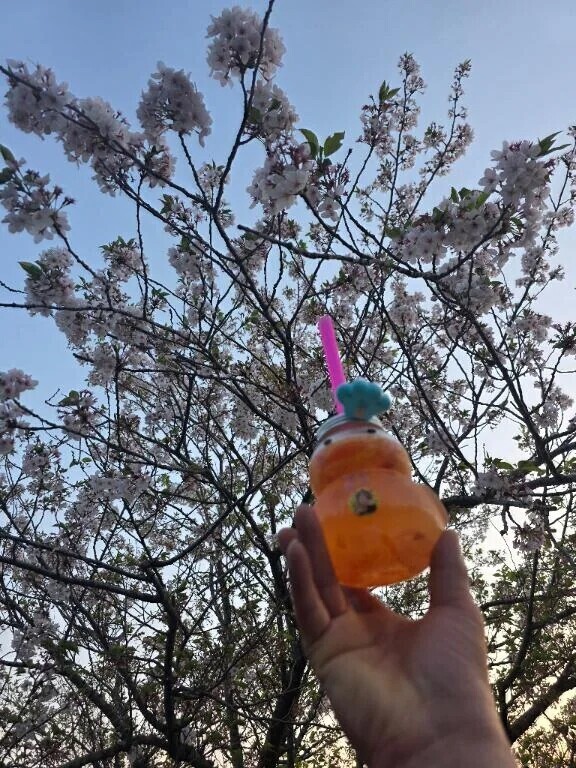 向かってます〜