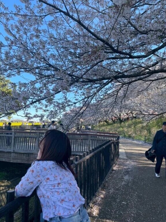 本日19時〜最大120分🉑