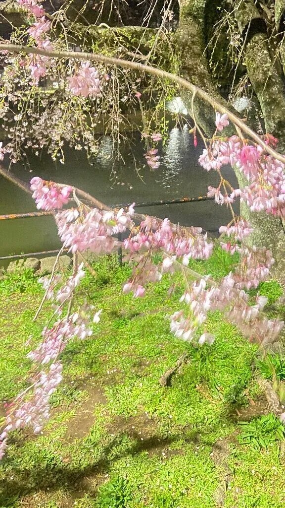 おはよう！出勤するよー！！！