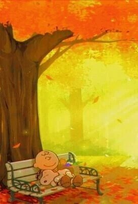 おはようございます🍀