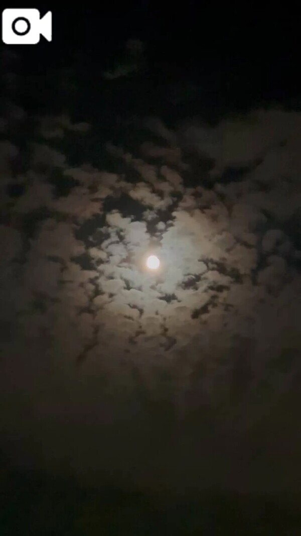 🌙