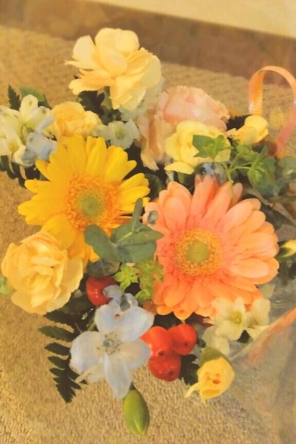 おはようございます🍀