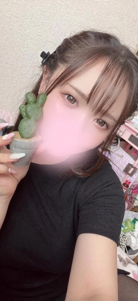 半袖が活躍しまくる